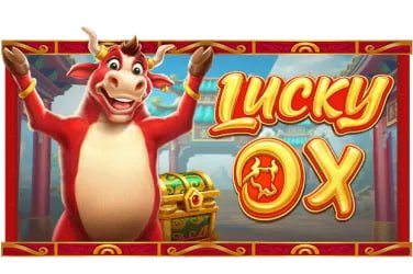 xpoker apk